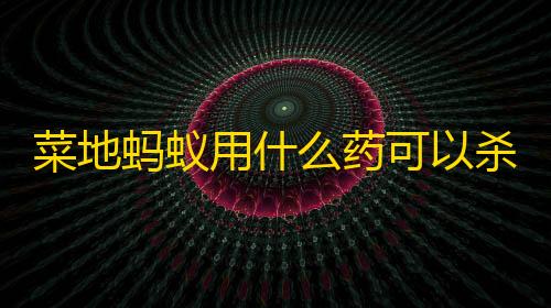 和平精英小白号购买网站菜地蚂蚁用什么药可以杀死